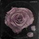 thumbnail image 1 of Álbum musical Lovesick de Mello Music Group, 1 of 1