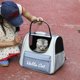 thumbnail image 4 of NORVESSA Mochila Transportadora para Mascotas de Gran Capacidad y Transpirable para Gatos y Perros Pequeños, 4 of 7