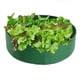 thumbnail image 1 of Bolsas para cultivo de plantas, macetas redondas elevadas para jardín, contenedor de tela transpirable y duradero para patatas, verduras y frutas, jardinería y exteriores., 1 of 5