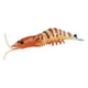thumbnail image 1 of Figuras De Juguete De Criaturas De Gambas Realistas Aprendizaje Temprano Cognitivo Para Enseñar Naranja 103g, 1 of 5
