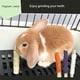 thumbnail image 2 of 2pcs Rabbits Chew Toys, Small Animals Molar Sticks For Rabbit, Guinea Pig, Hamster, Chinchilla, 2 of 4