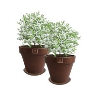 Mestiza - Set De 2 Maceta Kony 19Cm Morena Natural Y Sus Platos