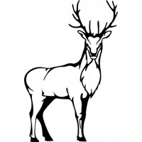 Rienda Libre Graphics - Decomural Standing Stag Woodland Animals Ws-18644