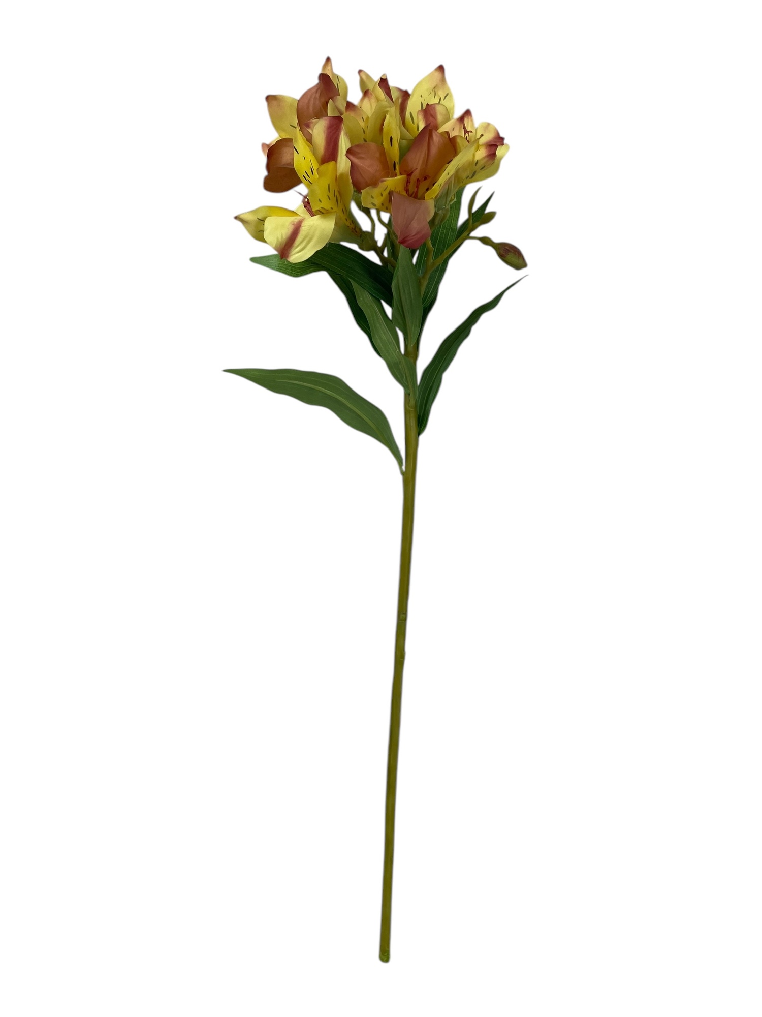 Corel - Flor Astromelia Amarilla Rosa 63Cm