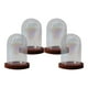 thumbnail image 3 of 4 Piezas De Vidrio Cloche Dome Clear Holder Tabletop Ornament Mini Bell Jar Dome Dark Brown, 3 of 3
