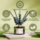 thumbnail image 2 of Difusor de Aroma Airkeep Forest Mist 200 ml con Varillas, 2 of 7