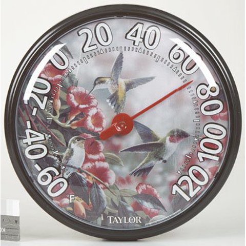 Termómetro Taylor 6708N 34 Cm Colibrí Para Interior Y Exterior