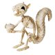 thumbnail image 1 of Escultura JOYIN Esqueleto de Ardilla 23 cm Posable, 1 of 9