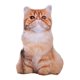 thumbnail image 3 of Almohada De Felpa De Simulación, Juguetes Divertidos Para Ni?os, Para Oficina, Habitación De Ni?os, Sofá, Garfield, 3 of 5