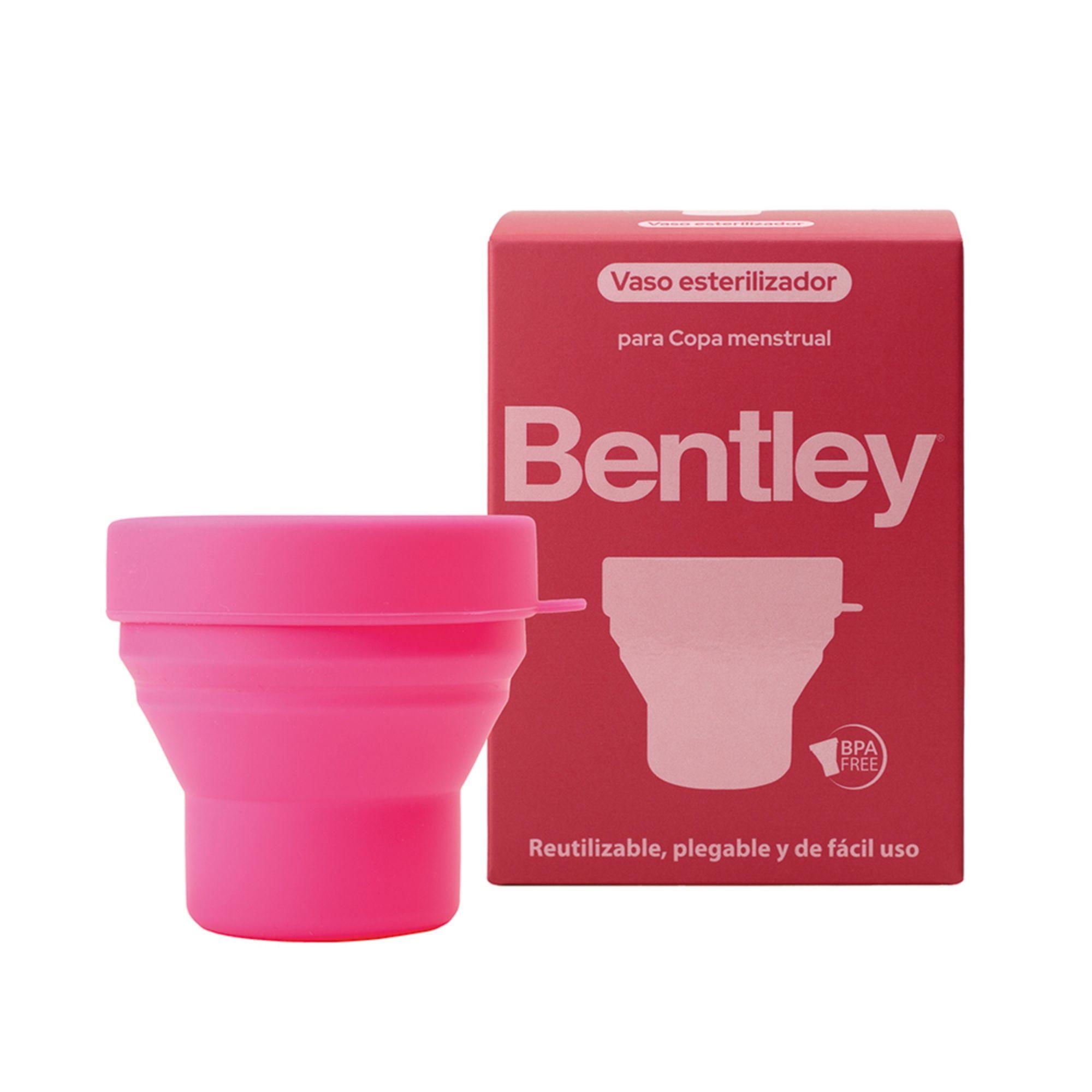 Bentley - Vaso Esterilizador