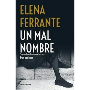Debols!Llo - Un Mal Nombre - Ferrante, Elena