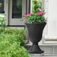 thumbnail image 2 of Urna clásica de resina negra Planter Worth, paquete de 2 unidades, 38 x 38 cm, 2 of 6