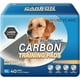 thumbnail image 1 of Honeycare Training Pads Sabanillas 71-86 Cm X 40 Unidades, 1 of 4