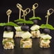 thumbnail image 4 of Pinchos de bambú Vicuña R 1200 unidades para cócteles, 10,5 cm, 4 of 6