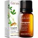 thumbnail image 1 of Aceite esencial de alholva Gya Labs, 10 ml, para cabello, piel y aromaterapia, 1 of 6