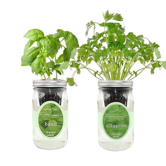 Kit de cultivo hidropónico de hierbas Environet – Pack de 2 frascos con albahaca y cilantro