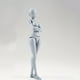 thumbnail image 3 of Body-Kun & Body-Chan DX PVC Models: Perfect Gift for Artists & Children Collectors!, 3 of 4
