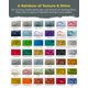 thumbnail image 4 of Juego Costero de Pintura The Crafter's Workshop 4×59 ml, 4 of 7