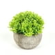 thumbnail image 1 of Planta Artificial 12*12cm, 1 of 2