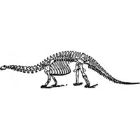 Rienda Libre Graphics - Decomural Alamosaurus Skeleton Dinosaur Bones Ws-33641