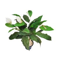 Corel - Planta Spatiphilium 89Cm Artificial