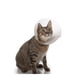thumbnail image 4 of Collar Isabelino Para Mascotas Buster Classic 25 Cm, 4 of 6