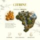 thumbnail image 5 of Pulsera Conscious Items de Citrino con Amuleto Pixiu de Prosperidad, 5 of 9