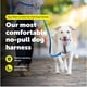 thumbnail image 2 of Arnés para perros PetSafe Easy Walk Comfort sin tirones, azul grande, 2 of 8