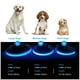thumbnail image 4 of Collar Luz LED 3 modos Luz carga USB Perros Gatos Talla S Azul, 4 of 7