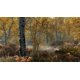 thumbnail image 4 of Videojuego Bethesda The Elder Scrolls V: Skyrim Special Edition Xbox One, 4 of 6