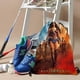 thumbnail image 3 of Mochila de Cuerdas Desmarcar Mujer Maravilla 30x40cm, 3 of 6