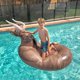 thumbnail image 3 of Flotador inflable para piscina GoFloats Giant con flotador para bebidas, 3 of 9