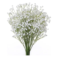 Genérico - Flores Gypsophila Ilusiones Arreglos