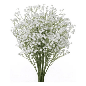 Genérico - Flores Gypsophila Ilusiones Arreglos
