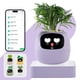 thumbnail image 1 of Maceta inteligente PLANTSIO con pantalla de autoriego de 80 ml, 1 of 9