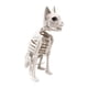 thumbnail image 5 of Esqueleto De Gato Sentado, Decoración De Halloween, Versátil Y Espeluznante, Material PP Blanco, 5 of 5