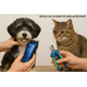 thumbnail image 4 of Maquina Corta Pelo Mascotas Perro Gato Kit Completo Azul, 4 of 5