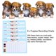 thumbnail image 3 of Kit de parto WEEGEEKS para cachorros de nacimiento con 12 collares y más, 3 of 7