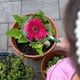 thumbnail image 4 of Lupa Carson HU-20AMMU patudo con lente de gran tamaño (juego de 10), 4 of 7