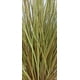 thumbnail image 2 of Planta Decorativa Pasto con Caida Verde Café 72 cm, 2 of 3