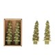 thumbnail image 1 of Candle Creative Co-Op con forma de árbol cónico, color verde cedro, juego de 2, 1 of 3