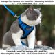 thumbnail image 4 of Arnés para gatos Mr. Peanut's PurrTrek Reflective con correa Blue S, 4 of 9