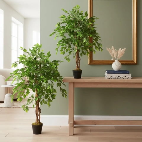 Arbusto Real - Pack 2X1 Planta Artificial Ficus Benjamina 120 Cm C/ 630 Hjs