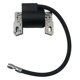 thumbnail image 3 of Bobina De Encendido De Repuesto Para Briggs Stratton 799382, 3 of 5