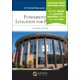 thumbnail image 1 of Libro Aspen Publishers Litigio 11ª Edición – eBook con Centro de Estudios, 1 of 1