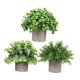 thumbnail image 2 of 3 Piezas De Peque?as Plantas Falsas En Maceta Para Estante, Sala De Estar, Ba?o, Estilo I, 2 of 5