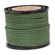 thumbnail image 1 of Guy Line Cuerda Trenzada Sólida Paracord Para Toldo Al Aire Libre Refugio Tienda Accesorio Verde, 1 of 5