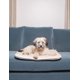 thumbnail image 2 of Cojín para Dormir Dog Gone Smart Pequeño Nano Forro Polar Berry, 2 of 3