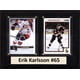 thumbnail image 1 of Placa para tarjeta coleccionable C&I Collectables NHL Ottawa Senators, 1 of 1