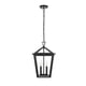 thumbnail image 1 of Lámpara Colgante Exterior ELEGANT Frankford 30 cm en Negro, 1 of 8